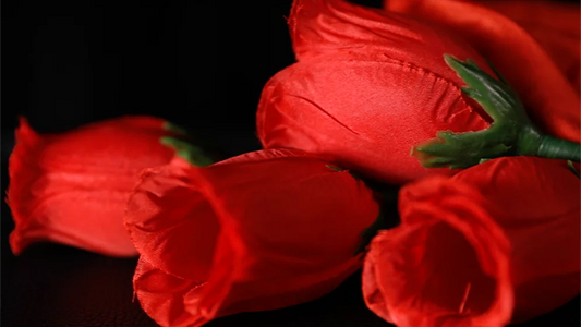 The Rose 2.0 (Red) by Bond Lee & Wenzi Magic