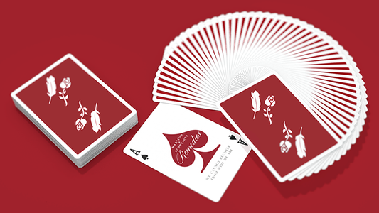 Remedies Playing Cards by Madison x Schneider