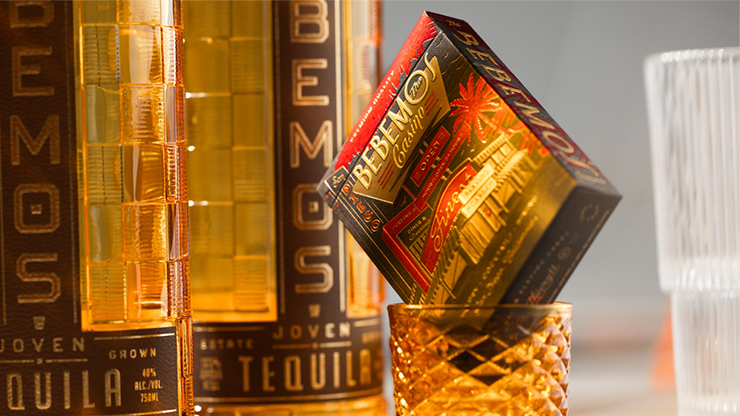 Bebemos Casino Playing Cards by theory11