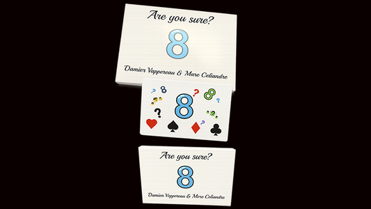 Are You Sure? by Damien Vappereau and Marc Céliandre