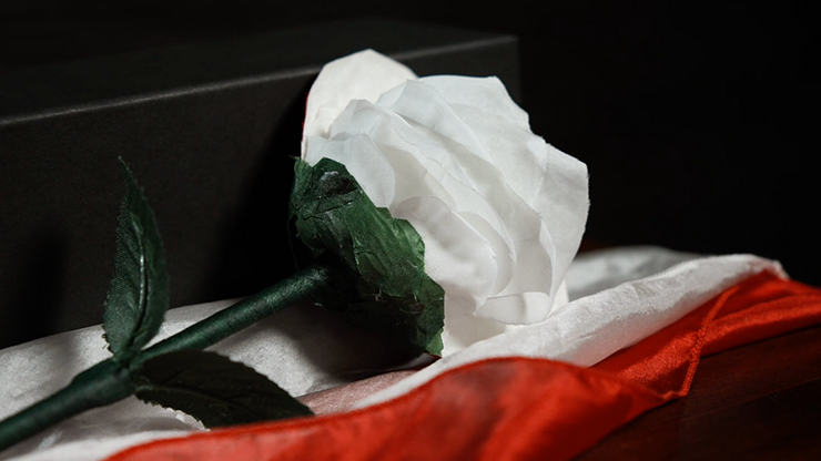 Fantasy Rose by Leon, Bond Lee & MS Magic