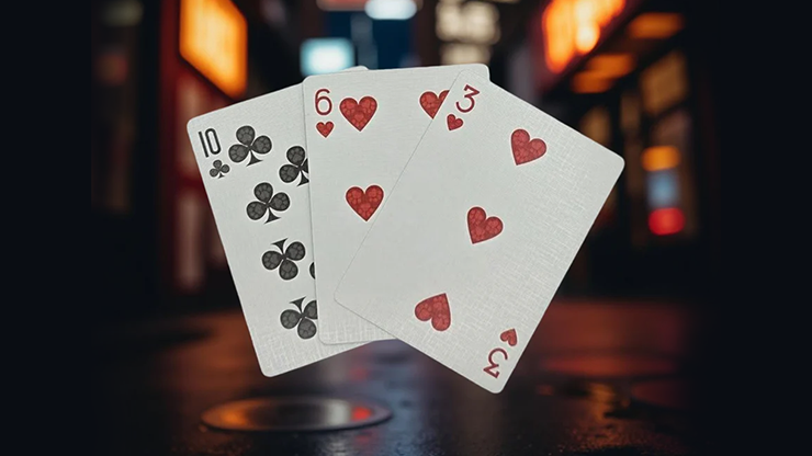 Biker Cats Playing Cards by Collectable Playing Cards