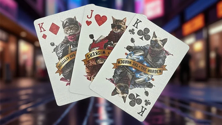 Biker Cats Playing Cards by Collectable Playing Cards
