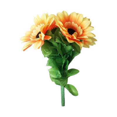 Amazing Split Sunflower by Premium Magic