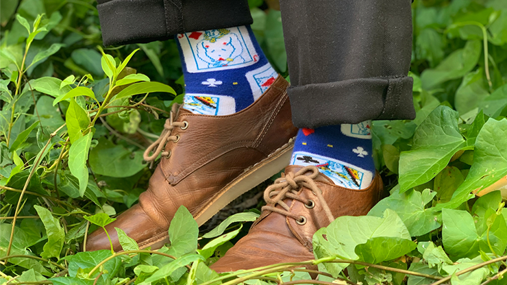 The Undressed Deck SOCKS by Edi Rudo