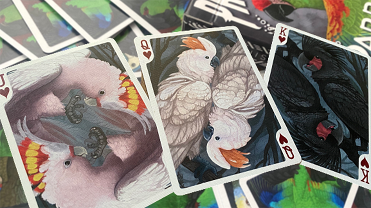 Parrot Prototype Playing Cards