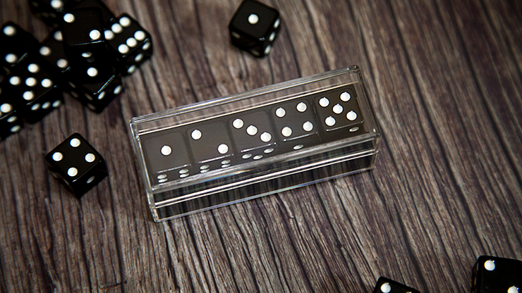 Sonic Dice (With Online Instructions) by Hanson Chien