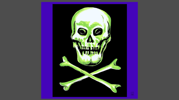 Rice Symphony Silk 36" (Skull and Cross Bones) by Silk King Studios - Trick