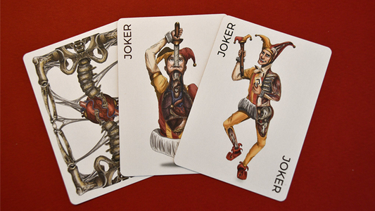 Anatomica Playing Cards