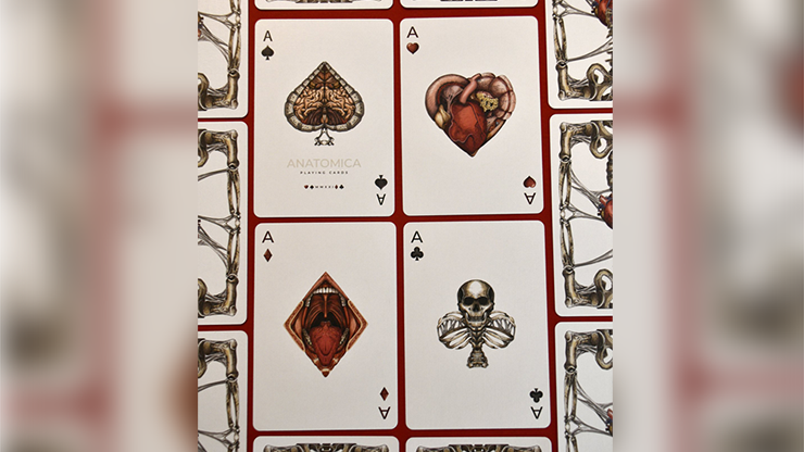 Anatomica Playing Cards