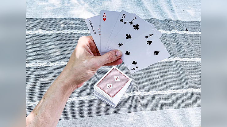 Evernia Playing Cards