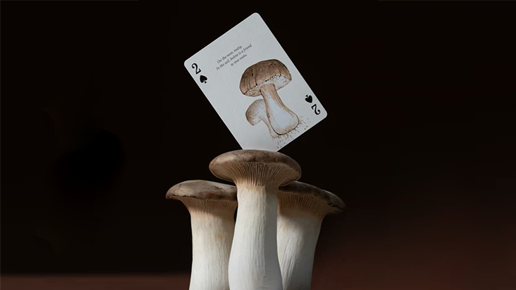 Eastern Forest Playing Cards by Art of Play