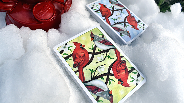 Cardinals Euchre Playing Cards by Midnight Cards