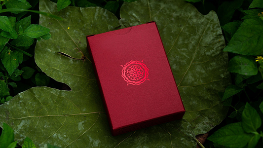 Solstice Playing Cards by Kings Wild