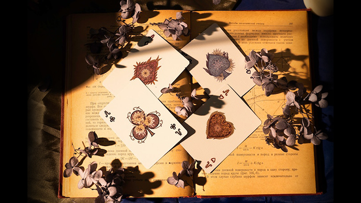 Epiphyllum Playing Cards