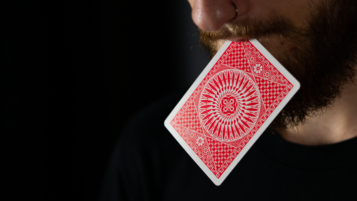 Tally-Ho Elite Edition Playing Cards